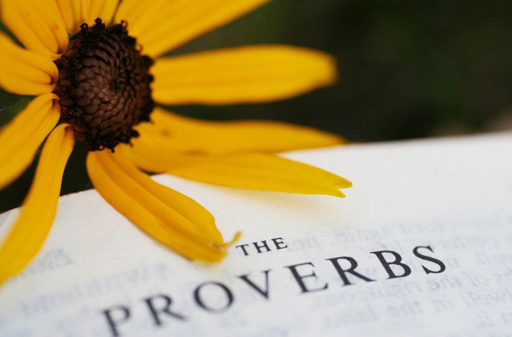 What is a Proverbs 31 Woman?
