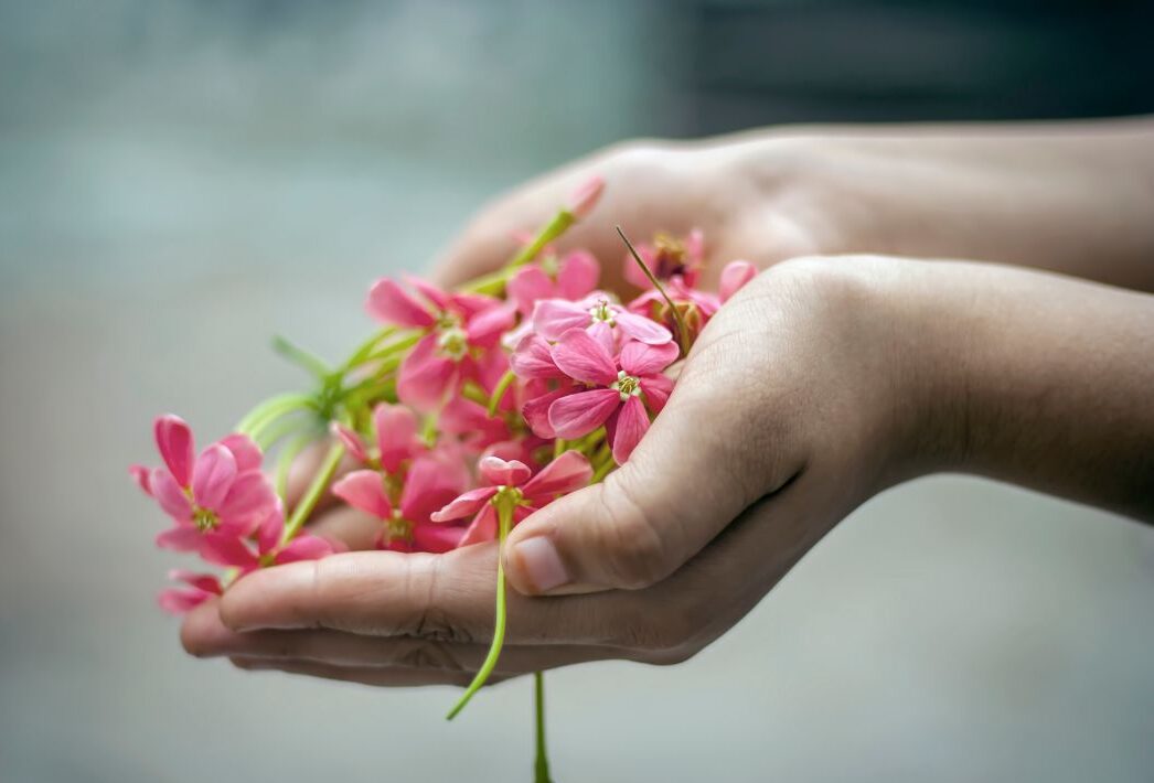 When Jealousy Rises: A Bible Study on Genesis 4